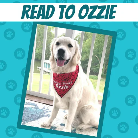 Text of Read to Ozzie across the top. Cartoon background with a photograph of Ozzie the golden retriever service dog. This is a program for Greenwood Childrens.